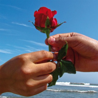 Fair Trade Photo Greeting Card Activity, Beach, Blue, Closeup, Colour image, Flower, Friendship, Giving, Hand, Horizontal, Love, Nature, Outdoor, People, Peru, Red, Rose, Seasons, Sky, South America, Summer, Thinking of you, Together, Valentines day, Water
