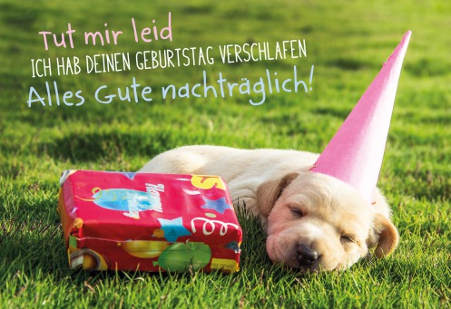 Fair Trade Photo Greeting Card Activity, Animals, Birthday, Colour image, Dog, Gift, Hat, Horizontal, Puppy, Sleeping