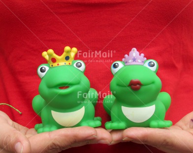 Fair Trade Photo Animals, Couple, Cute, Frog, Love, Marriage, Prince, Princess, Together, Wedding
