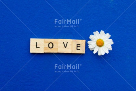 Fair Trade Photo Colour image, Flower, Horizontal, Letter, Love, Peru, South America, Valentines day