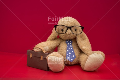 Fair Trade Photo Animals, Funny, Glasses, New Job, Rabbit, Suitcase, Tie