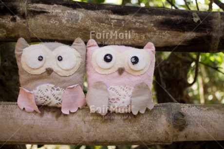 Fair Trade Photo Animals, Colour image, Friendship, Owl, Peru, South America, Together