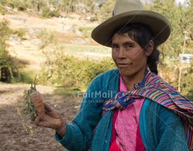 Fair Trade Photo Activity, Agriculture, Carrot, Clothing, Colour image, Ethnic-folklore, Farmer, Harvest, Horizontal, Looking at camera, One woman, People, Peru, Portrait headshot, Rural, South America, Traditional clothing