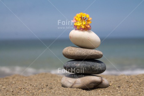 Fair Trade Photo Balance, Beach, Colour image, Condolence-Sympathy, Flower, Horizontal, Peru, Sea, South America, Stone, Summer, Thinking of you, Wellness