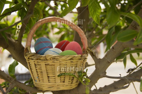 Fair Trade Photo Colour image, Easter, Egg, Horizontal, Seasons, Spring