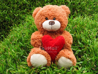 Fair Trade Photo Colour image, Grass, Heart, Horizontal, Love, Mothers day, Outdoor, Peru, Red, South America, Summer, Teddybear, Valentines day