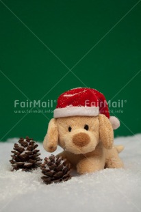 Fair Trade Photo Animals, Christmas, Colour image, Dog, Hat, Peru, Puppy, Snow, South America, Vertical