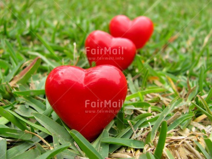 Fair Trade Photo Closeup, Grass, Green, Heart, Horizontal, Love, Peru, Red, South America, Valentines day