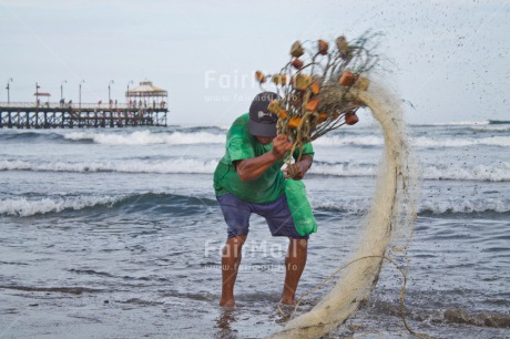 Fair Trade Photo Activity, Cleaning, Colour image, Fisheries, Horizontal, Peru, South America