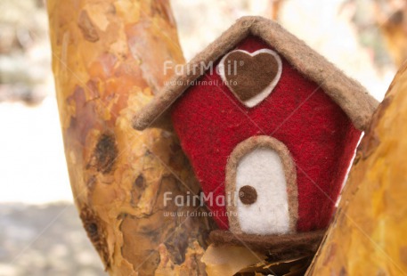 Fair Trade Photo Colour image, Heart, Horizontal, House, Love, New home, Peru, Red, South America, Tree