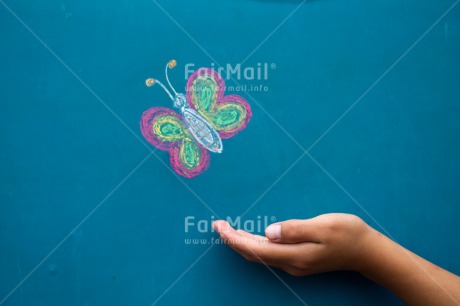 Fair Trade Photo Butterfly, Colour image, Condolence-Sympathy, Friendship, Get well soon, Good luck, Hand, Horizontal, Peru, South America