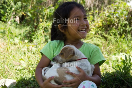 Fair Trade Photo Animals, Caring, Colour image, Cute, Day, Dog, Friendship, Horizontal, Love, One girl, Outdoor, People, Peru, Puppy, South America, Together