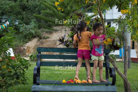 Fair Trade Photo Activity, Colour image, Cooperation, Cute, Day, Flower, Friendship, Garden, Horizontal, Latin, Outdoor, People, Peru, Playing, South America, Summer, Together, Two girls