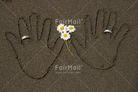 Fair Trade Photo Colour image, Daisy, Flower, Hand, Horizontal, Marriage, Peru, Ring, Sand, South America, Wedding