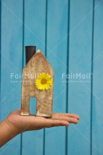Fair Trade Photo Colour image, Flower, New home, Peru, South America, Vertical