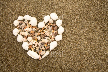 Fair Trade Photo Beach, Colour image, Fathers day, Heart, Holiday, Love, Marriage, Mothers day, Outdoor, Peru, Seasons, Shell, South America, Summer, Valentines day, Wedding, White