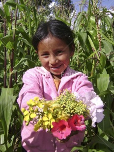 Fair Trade Photo 5-10 years, Activity, Agriculture, Colour image, Corn, Cute, Flower, Giving, Green, Latin, Looking at camera, One girl, People, Peru, Pink, Portrait halfbody, Rural, Smiling, South America, Thank you, Vertical, Well done