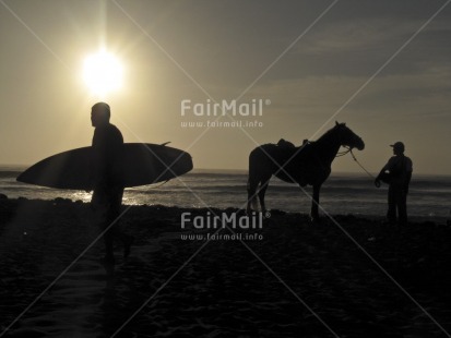 Fair Trade Photo Animals, Backlit, Beach, Colour image, Evening, Horizontal, Horse, Outdoor, People, Peru, Sea, Silhouette, South America, Sun, Sunset, Surfboard, Surfer, Transport, Two men