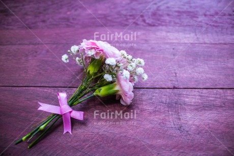 Fair Trade Photo Birthday, Colour, Congratulations, Flower, Friendship, Love, Marriage, Mom, Mother, Mothers day, Nature, New beginning, New home, People, Pink, Sorry, Thank you, Thinking of you, Valentines day, Wedding, Well done, White, Wood