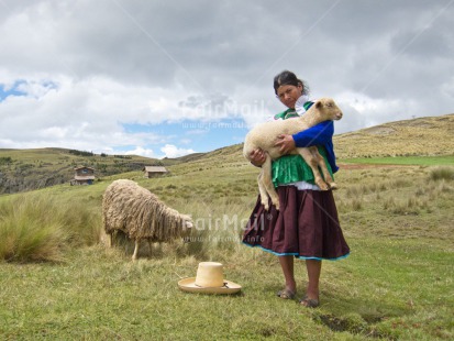 Fair Trade Photo Activity, Agriculture, Animals, Care, Clothing, Clouds, Day, Ethnic-folklore, Farmer, Grass, Horizontal, Latin, Looking at camera, One woman, Outdoor, People, Peru, Portrait fullbody, Rural, Sheep, Sky, Sombrero, South America, Traditional clothing