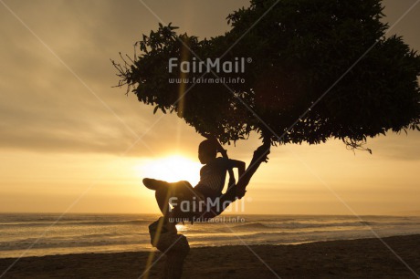 Fair Trade Photo Activity, Backlit, Beach, Colour image, Evening, Horizontal, One boy, Outdoor, People, Peru, Sea, Silhouette, Sitting, South America, Sunset, Tree