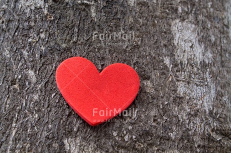 Fair Trade Photo Closeup, Colour image, Heart, Love, Peru, Red, South America, Tree, Valentines day