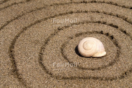 Fair Trade Photo Beach, Closeup, Colour image, Horizontal, Peru, Sand, Shell, South America, Spirituality, Wellness