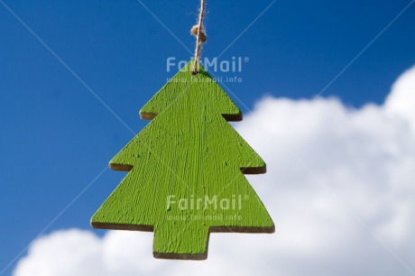 Fair Trade Photo Blue, Christmas, Colour image, Green, Horizontal, Peru, Sky, South America, Tree
