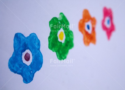 Fair Trade Photo Colour image, Flower, Horizontal, Peru, South America