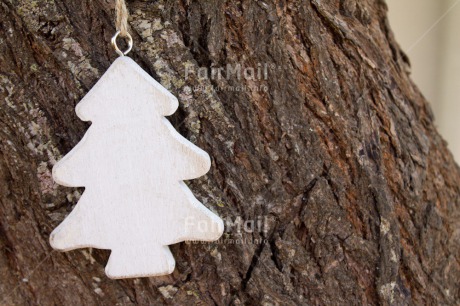 Fair Trade Photo Christmas, Closeup, Colour image, Horizontal, Peru, Shooting style, South America, Tree, White