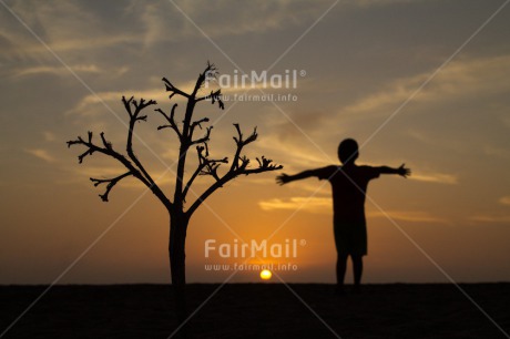 Fair Trade Photo Colour image, Emotions, Evening, Horizontal, Loneliness, Miss you, One boy, Outdoor, People, Peru, Shooting style, Silhouette, South America, Sunset, Thinking, Thinking of you, Tree