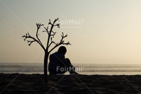 Fair Trade Photo Activity, Colour image, Horizontal, One boy, People, Peru, Relaxing, Sea, Shooting style, Silhouette, South America, Tree