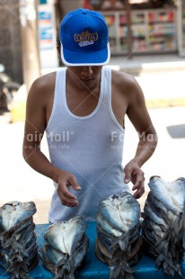 Fair Trade Photo Animals, Colour image, Entrepreneurship, Ethnic-folklore, Fish, Food and alimentation, Health, Market, One man, People, Peru, Selling, South America, Vertical