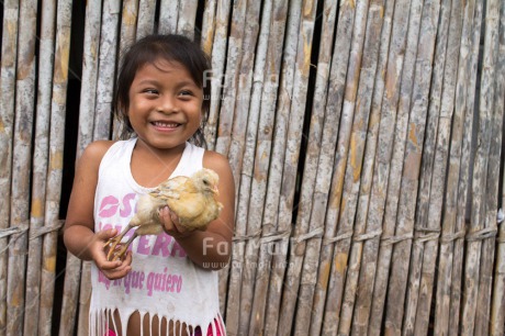 Fair Trade Photo Activity, Agriculture, Bamboo, Chicken, Colour image, Cute, Horizontal, Looking away, One girl, People, Peru, Rural, Smiling, South America