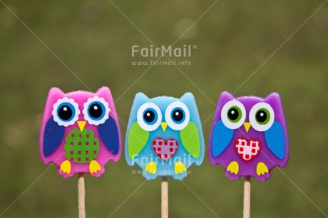 Fair Trade Photo Animals, Colour image, Friendship, Horizontal, Owl, Peru, South America