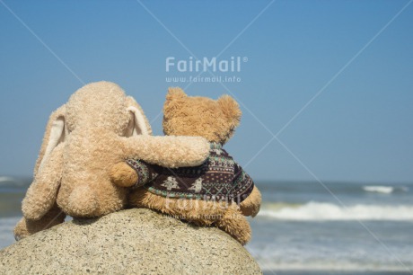 Fair Trade Photo Activity, Colour image, Cute, Friendship, Holiday, Horizontal, Outdoor, Peru, Relaxing, Sea, South America, Summer, Teddybear, Thinking of you