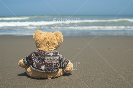 Fair Trade Photo Activity, Colour image, Cute, Friendship, Holiday, Horizontal, Outdoor, Peru, Relaxing, Sea, South America, Summer, Teddybear, Thinking of you