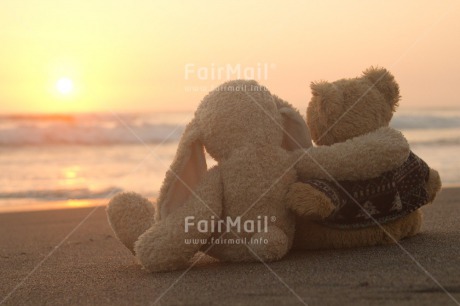 Fair Trade Photo Animals, Beach, Colour image, Cute, Friendship, Horizontal, Love, Peru, Rabbit, Sea, South America, Sunset, Teddybear, Valentines day