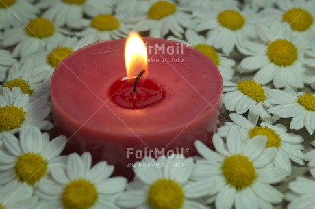 Fair Trade Photo Candle, Christmas, Colour image, Condolence-Sympathy, Daisy, Flame, Flower, Horizontal, Love, Peru, Red, South America, Thinking of you