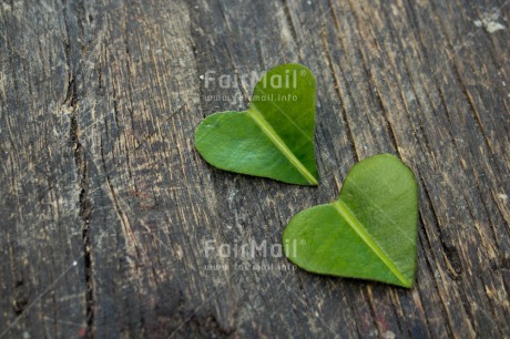 Fair Trade Photo Blue, Colour image, Green, Heart, Horizontal, Leaf, Love, Mothers day, Peru, Sky, South America, Valentines day, Wood