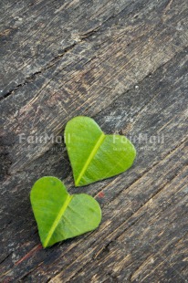 Fair Trade Photo Blue, Colour image, Green, Heart, Leaf, Love, Mothers day, Peru, Sky, South America, Valentines day, Vertical, Wood