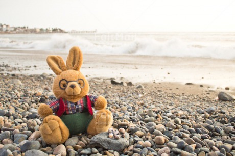 Fair Trade Photo Animals, Beach, Colour image, Holiday, Love, Peluche, Peru, Rabbit, Sea, South America, Thinking of you, Valentines day
