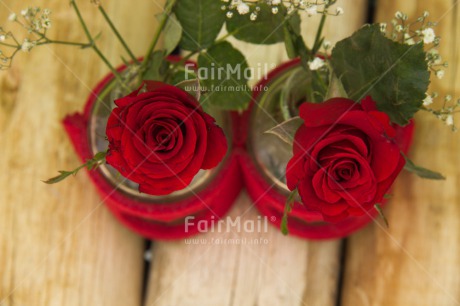 Fair Trade Photo Closeup, Colour image, Flower, Love, Mothers day, Peru, Red, Rose, South America, Studio, Thank you, Valentines day, Wood
