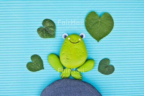 Fair Trade Photo Animals, Blue, Colour image, Frog, Green, Heart, Horizontal, Peru, Rock, South America