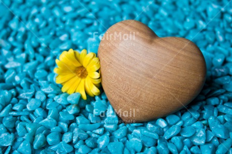 Fair Trade Photo Birth, Boy, Colour image, Flower, Heart, Horizontal, Love, Marriage, New baby, People, Peru, Rock, South America, Thinking of you, Valentines day, Wedding, Yellow