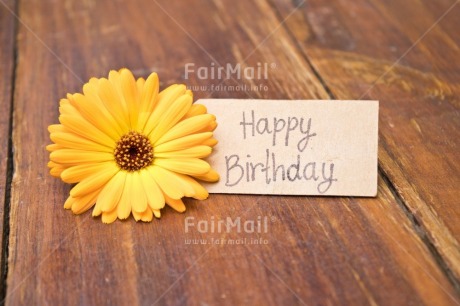 Fair Trade Photo Birthday, Brown, Colour, Colour image, Emotions, Flower, Happy, Horizontal, Letter, Nature, Object, Party, Peru, Place, South America, Text, Wood, Yellow