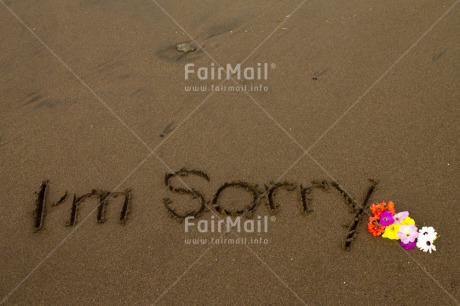 Fair Trade Photo Beach, Colour image, Flower, Horizontal, Letter, Peru, Sand, Sorry, South America