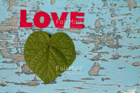 Fair Trade Photo Colour image, Heart, Horizontal, Leaf, Letter, Love, Peru, South America, Valentines day
