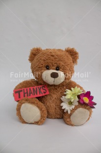 Fair Trade Photo Flower, Letter, Teddybear, Thank you