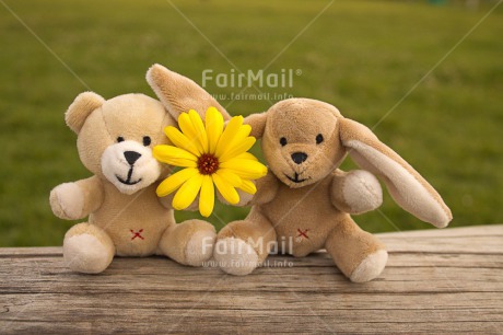 Fair Trade Photo Activity, Animals, Bear, Colour image, Couple, Flower, Friendship, Grass, Green, Horizontal, Love, Outdoor, Peru, Rabbit, Sitting, South America, Together, Toy, Two, Wood, Yellow